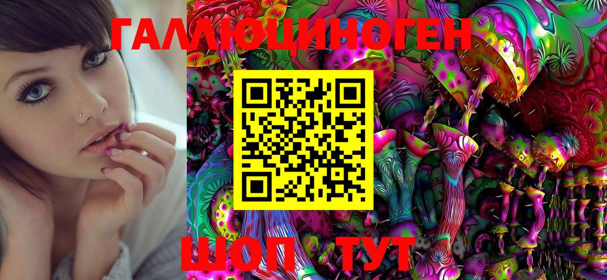 Лесной  Галлюциногенные грибы Cubensis  Вход с VPN 