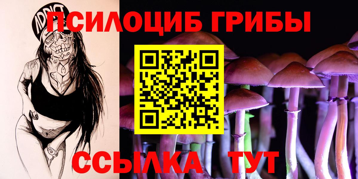 Псилоцибиновые грибы мухоморы Лесной