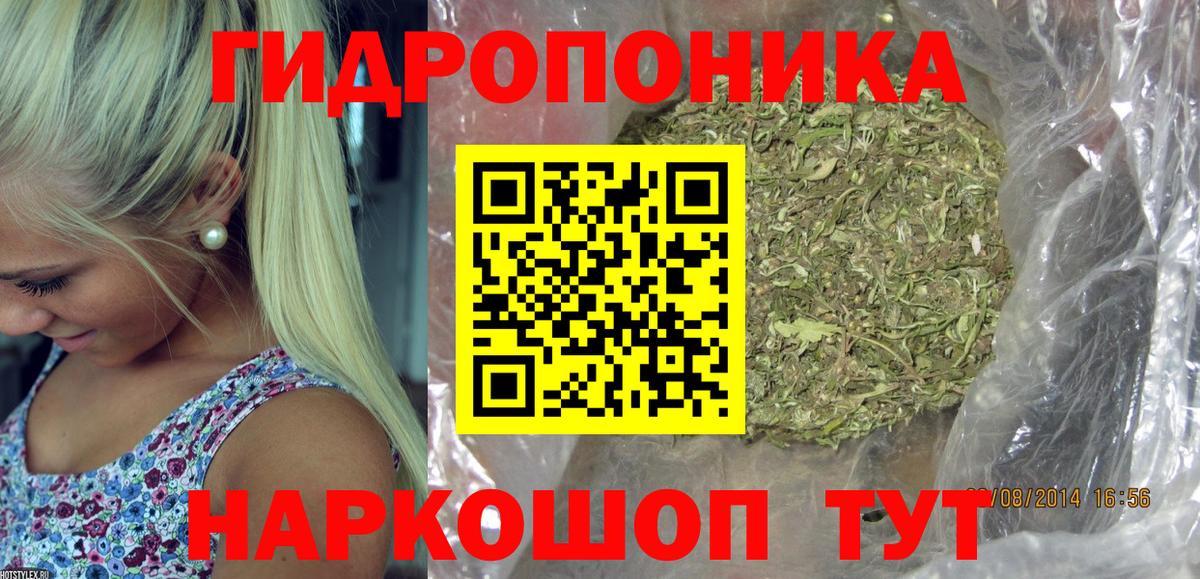 Каннабис индика  МАРИХУАНА план  МАРИХУАНА индика  Лесной  Вход с VPN  Канабис марихуана 